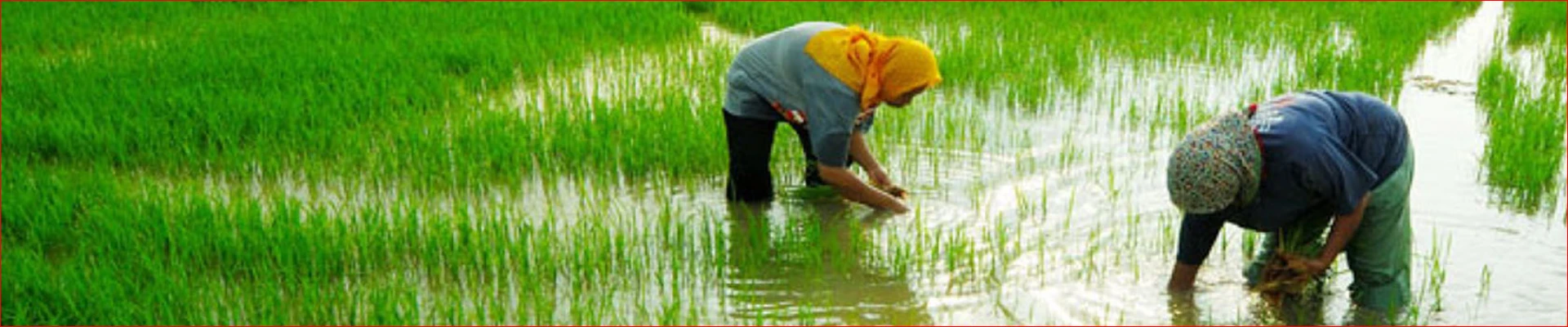 Potensi Alam Desa